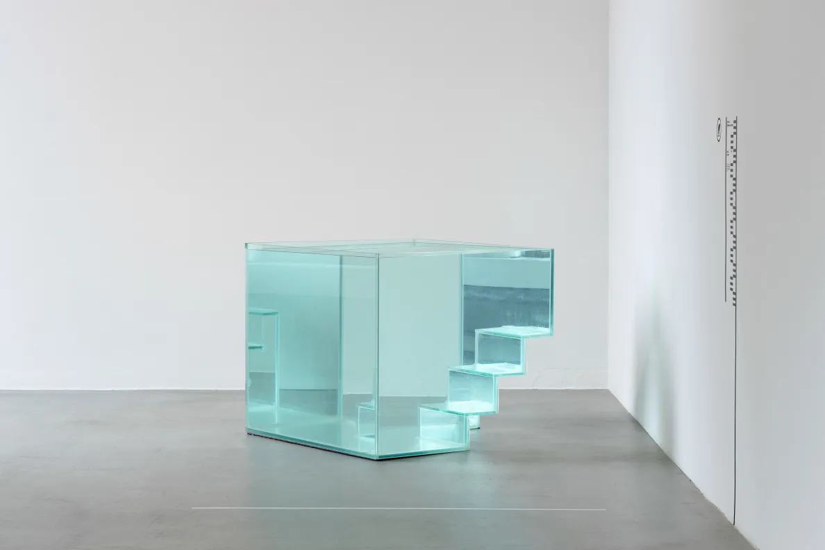 Instalacja Kornelii Dzikowskiej-Demirskiej "Contribution and Negativ"