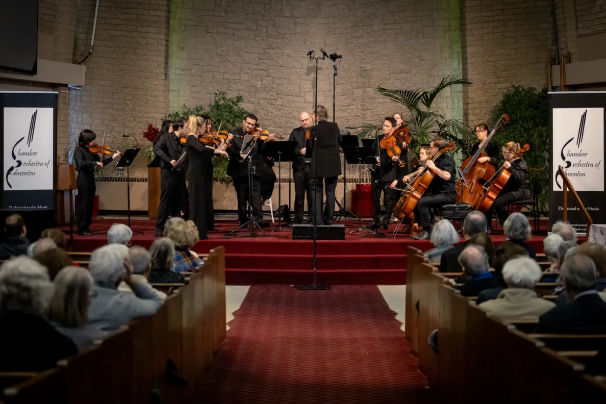 orkiestra muzyków klasycznych podczas koncertu gra na instrumentach