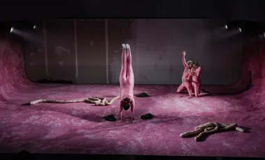 Scena ze spektaklu „Collage – stage of things”. Na różowej, zakrzywionej po bokach podłodze sceny jedna osoba w obcisłym różowym kostiumie stoi na rękach, otoczona kępkami czarnych włosów. Z prawej strony dwie osoby w takich samych kostiumach klęczą obok siebie, jedna unosi rękę. Na podłodze leżą długie, miękkie formy z beżowego materiału.